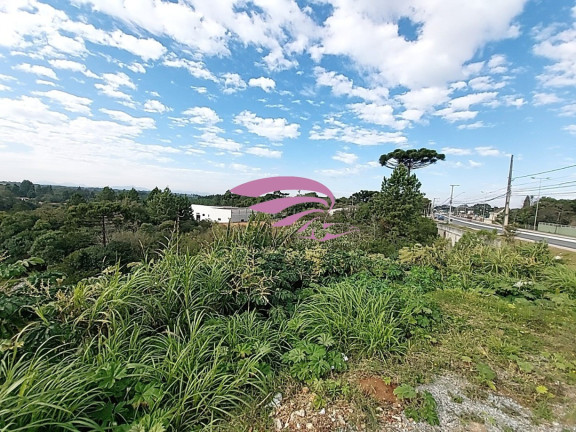 Terreno à Venda, 7.861 m² em Centro - Colombo