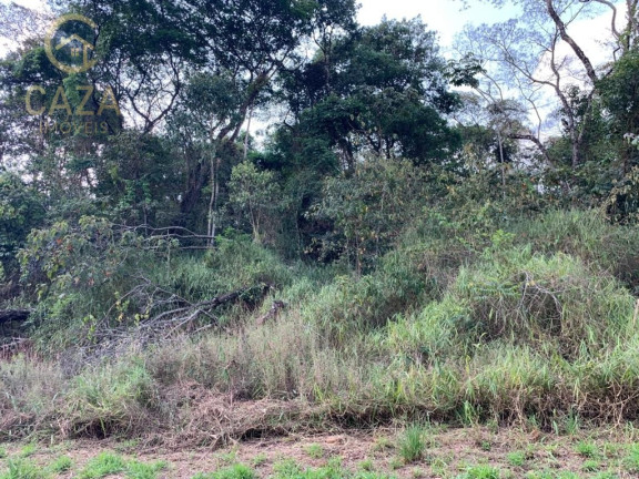 Imóvel à Venda, 1.000 m² em Condomínio Canto Da Mata - Nova Lima