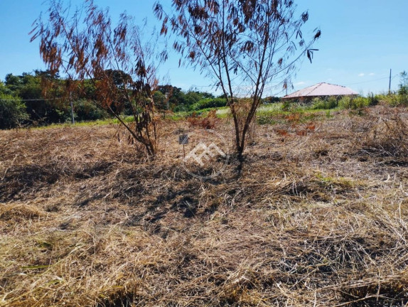 Imagem Fazenda à Venda, em Loteamento Dois Irmãos Ii - Primeiro De Maio Imagem Fazenda à Venda, em Loteamento Dois Irmãos Ii - Primeiro De Maio