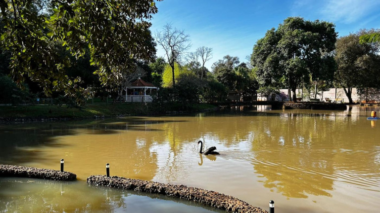 Imagem Terreno à Venda, 1.222 m² em Jardim Ana Cristina - Foz Do Iguaçu Imagem Terreno à Venda, 1.222 m² em Jardim Ana Cristina - Foz Do Iguaçu