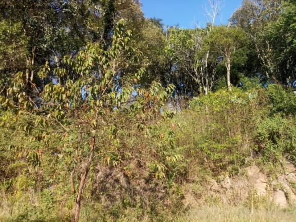 Imagem Terreno à Venda, 1.646 m² em Pousada Da Neve - Nova Petrópolis Imagem Terreno à Venda, 1.646 m² em Pousada Da Neve - Nova Petrópolis