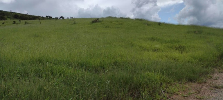 Imagem Fazenda à Venda, 100 m² em Zona Rural - Guaratinguetá Imagem Fazenda à Venda, 100 m² em Zona Rural - Guaratinguetá