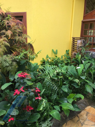 Imagem Casa com 4 Quartos à Venda, 320 m² em Jardim Samambaia - Ubatuba Imagem Casa com 4 Quartos à Venda, 320 m² em Jardim Samambaia - Ubatuba
