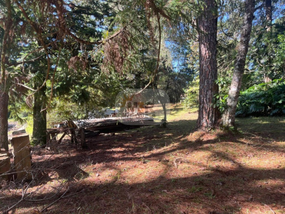 Imagem Terreno à Venda, 5.633 m² em Pousada Da Neve - Nova Petrópolis