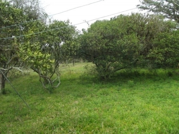 Imagem Chácara com 1 Quarto à Venda, 108.000 m² em Itapuã - Viamão
