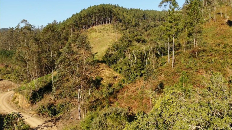 Imóvel com 3 Quartos à Venda, 140.000 m² em Zona Rural - Presidente Nereu
