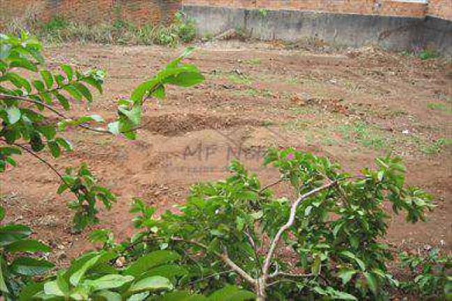 Imagem Terreno à Venda, 255 m² em Centro - Pirassununga Imagem Terreno à Venda, 255 m² em Centro - Pirassununga
