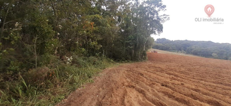 Imagem Imóvel à Venda, 98.000 m² em Piedade - Piedade Imagem Imóvel à Venda, 98.000 m² em Piedade - Piedade