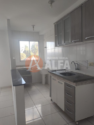 Imagem Apartamento com 2 Quartos à Venda, 52 m² em Jardim Dos Ipês - Cotia