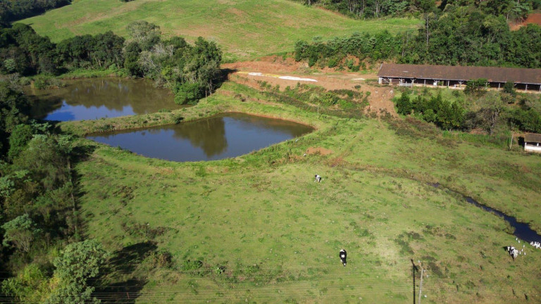 Imagem Terreno à Venda, 170.000 m² em Interior - Concórdia Imagem Terreno à Venda, 170.000 m² em Interior - Concórdia
