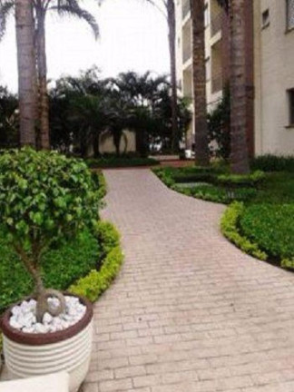 Imagem Apartamento com 2 Quartos à Venda, 50 m² em Jardim Monjolo - São Paulo