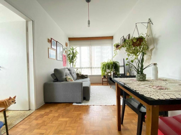 Imagem Apartamento com 2 Quartos à Venda, 55 m² em Higienopolis - São Paulo Imagem Apartamento com 2 Quartos à Venda, 55 m² em Higienopolis - São Paulo
