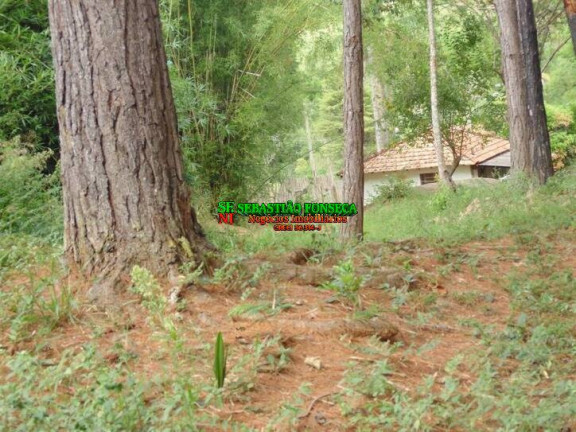 Imagem Chácara com 5 Quartos à Venda, 96.800 m² em Cedro - Cunha Imagem Chácara com 5 Quartos à Venda, 96.800 m² em Cedro - Cunha