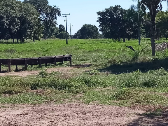 Fazenda à Venda,  em Zona Rural - Caceres
