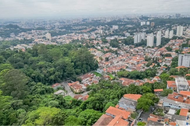 Imagem Terreno à Venda, 455 m² em Vila Irmãos Arnoni - São Paulo Imagem Terreno à Venda, 455 m² em Vila Irmãos Arnoni - São Paulo