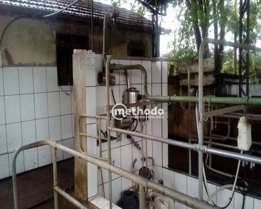 Imagem Fazenda à Venda, 11 m² em Jardim São Benedito - Alpinópolis Imagem Fazenda à Venda, 11 m² em Jardim São Benedito - Alpinópolis
