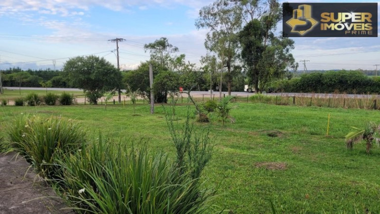 Imagem Imóvel com 3 Quartos à Venda, 20.000 m² em Fragata - Pelotas Imagem Imóvel com 3 Quartos à Venda, 20.000 m² em Fragata - Pelotas