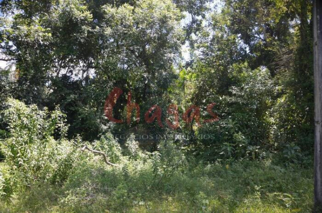 Imagem Terreno à Venda, 3.696 m² em Barranco Alto - Caraguatatuba