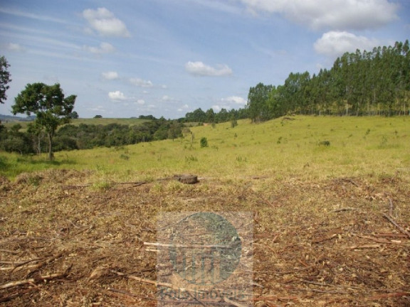 Imagem Imóvel com 3 Quartos à Venda, 302.500 m² em Zona Rural - Jacui