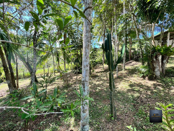 Imagem Imóvel com 2 Quartos à Venda, 16.800 m² em Bairro Dos Padeiros - Juquitiba