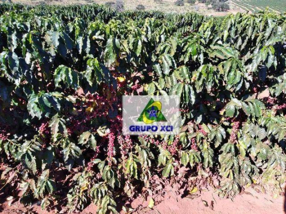 Imagem Fazenda à Venda, 16.740.000 m² em Zona Rural - Presidente Olegário Imagem Fazenda à Venda, 16.740.000 m² em Zona Rural - Presidente Olegário