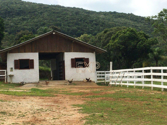 Imagem Imóvel à Venda, 77.000 m² em Ratones - Florianópolis Imagem Imóvel à Venda, 77.000 m² em Ratones - Florianópolis