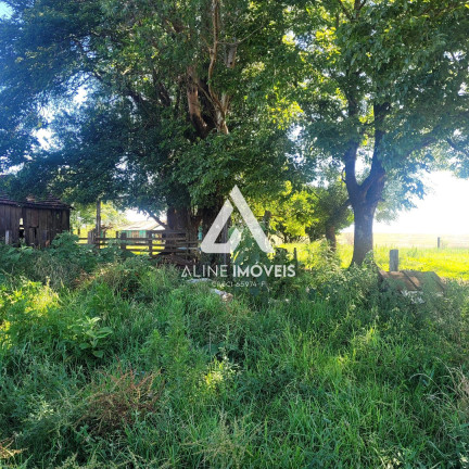 Fazenda à Venda,  em Interior - Cruz Alta