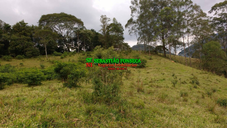 Imagem Chácara à Venda, 5.000 m² em São Francisco Xavier - São José Dos Campos Imagem Chácara à Venda, 5.000 m² em São Francisco Xavier - São José Dos Campos