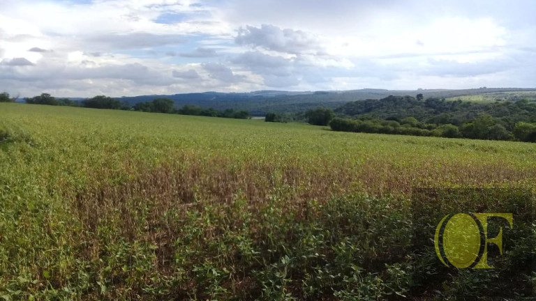 Fazenda à Venda, 75 m² em Rural - Paranapanema