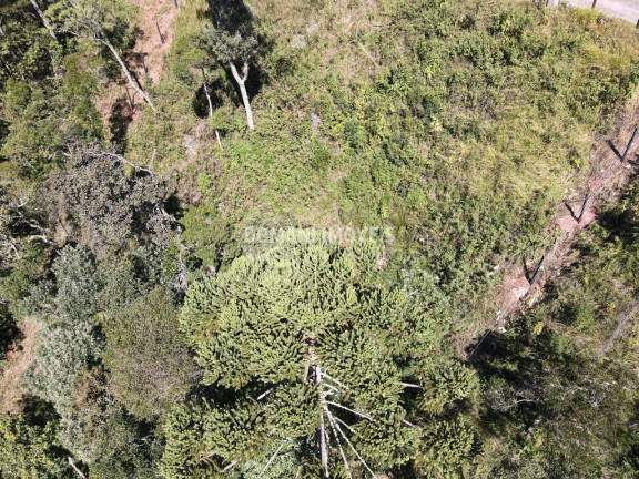 Imagem Terreno à Venda, 2.080 m² em Região Do Atalaia - Campos Do Jordão