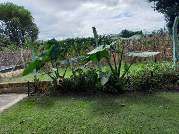 Imagem Chácara com 3 Quartos à Venda, em Cocaes - Sarapuí Imagem Chácara com 3 Quartos à Venda, em Cocaes - Sarapuí