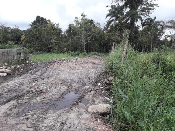 Terreno à Venda, 150 m² em Nova Itanhaém - Itanhaém
