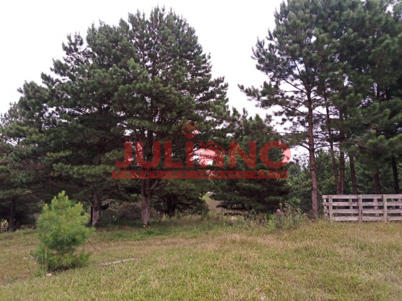 Imagem Chácara à Venda, 24.000 m² em Campo Alegre Imagem Chácara à Venda, 24.000 m² em Campo Alegre