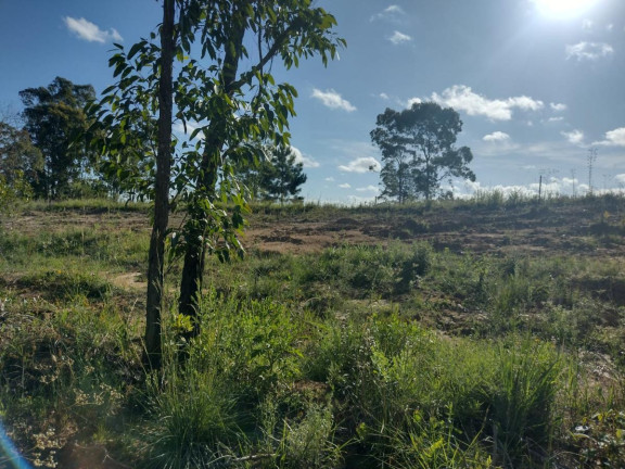 Imagem Terreno à Venda, 20.000 m² em Alto Perequê - Arroio Do Padre Imagem Terreno à Venda, 20.000 m² em Alto Perequê - Arroio Do Padre