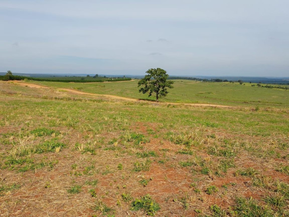 Imagem Fazenda à Venda, 171 m² em Rural - Cabrália Paulista Imagem Fazenda à Venda, 171 m² em Rural - Cabrália Paulista