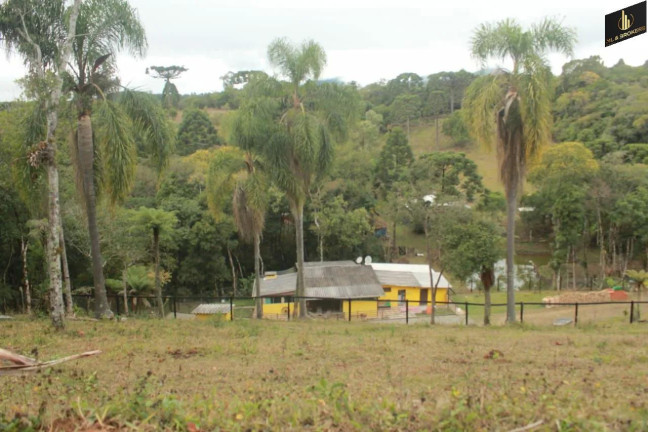 Imagem Imóvel com 3 Quartos à Venda, 16.200 m² em Zona Rural - Quatro Barras