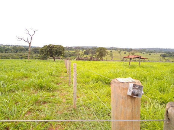 Imagem Fazenda à Venda, 23 m² em Centro - Santa Vitória Imagem Fazenda à Venda, 23 m² em Centro - Santa Vitória