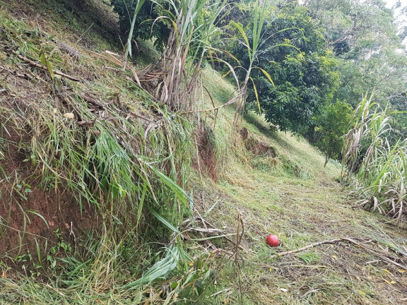 Imagem Imóvel à Venda, em Redenção Da Serra Imagem Imóvel à Venda, em Redenção Da Serra