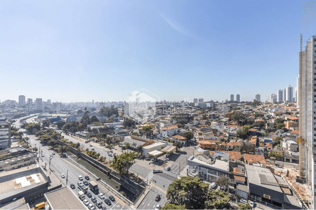Imagem Apartamento com 3 Quartos à Venda, 115 m² em Vila Mariana - São Paulo