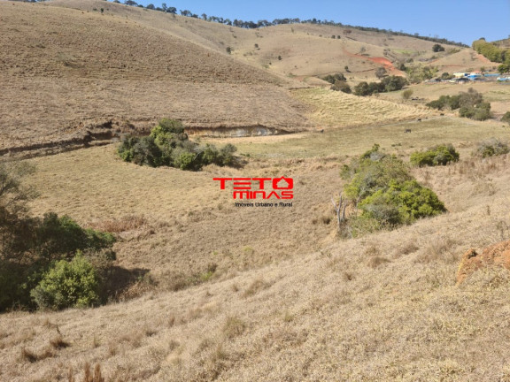 Imagem Imóvel com 2 Quartos à Venda, em Zona Rural De Pouso Alto - Mg - Pouso Alto Imagem Imóvel com 2 Quartos à Venda, em Zona Rural De Pouso Alto - Mg - Pouso Alto