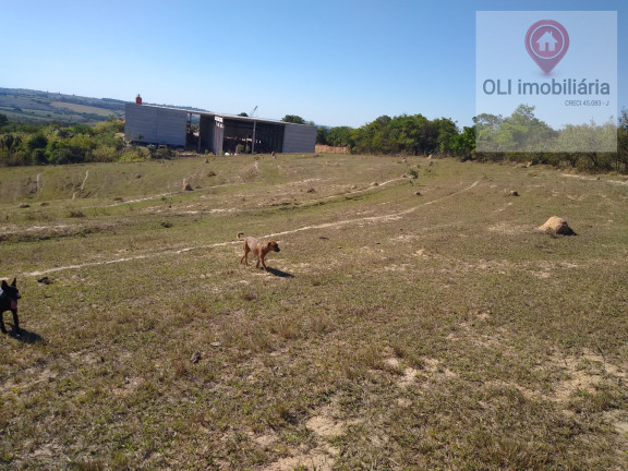 Imagem Imóvel à Venda, 27.200 m² em Taperinha - Itu Imagem Imóvel à Venda, 27.200 m² em Taperinha - Itu