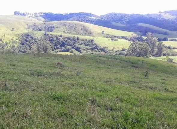 Imagem Chácara à Venda, 25.000 m² em Monte Belo - Taubaté Imagem Chácara à Venda, 25.000 m² em Monte Belo - Taubaté