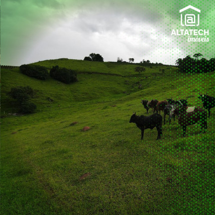 Imagem Imóvel à Venda, 15 m² em Roseira - Bandeira Do Sul Imagem Imóvel à Venda, 15 m² em Roseira - Bandeira Do Sul