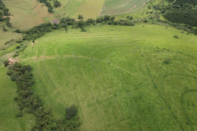 Imagem Fazenda à Venda, 31 m² em Zona Rural - Mococa Imagem Fazenda à Venda, 31 m² em Zona Rural - Mococa