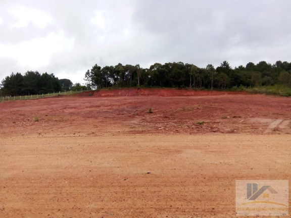 Imagem Terreno à Venda, 4.411 m² em Campo Largo Da Roseira - São José Dos Pinhais Imagem Terreno à Venda, 4.411 m² em Campo Largo Da Roseira - São José Dos Pinhais