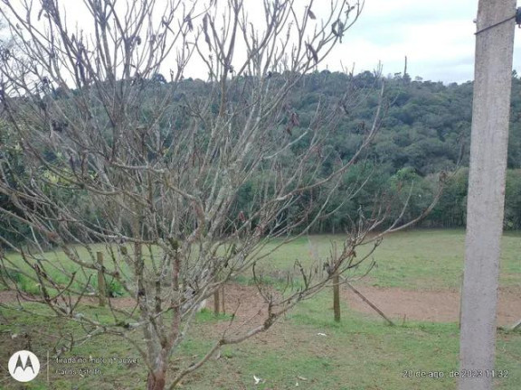 Imagem Imóvel com 4 Quartos à Venda, 22.000 m² em Areia Branca Dos Assis - Mandirituba