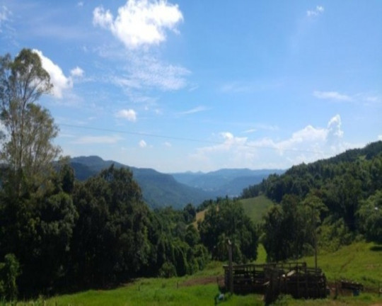Imagem Imóvel com 3 Quartos à Venda, 238 m² em Santa Inês - Nova Petrópolis