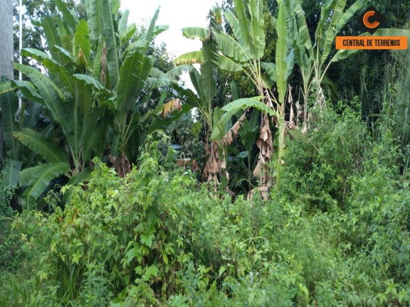 Imagem Terreno à Venda, 5.017 m² em Nova Brasília - Salvador Imagem Terreno à Venda, 5.017 m² em Nova Brasília - Salvador