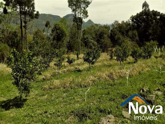 Imagem Imóvel à Venda, 110.000 m² em Linha Brasil - Nova Petrópolis Imagem Imóvel à Venda, 110.000 m² em Linha Brasil - Nova Petrópolis