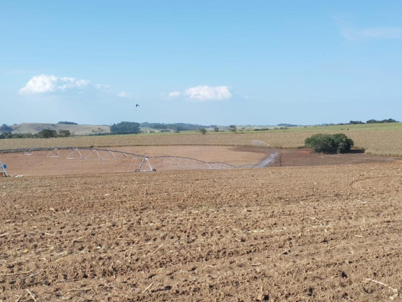 Imagem Fazenda à Venda, 70 m² em Rural - Itapetininga Imagem Fazenda à Venda, 70 m² em Rural - Itapetininga